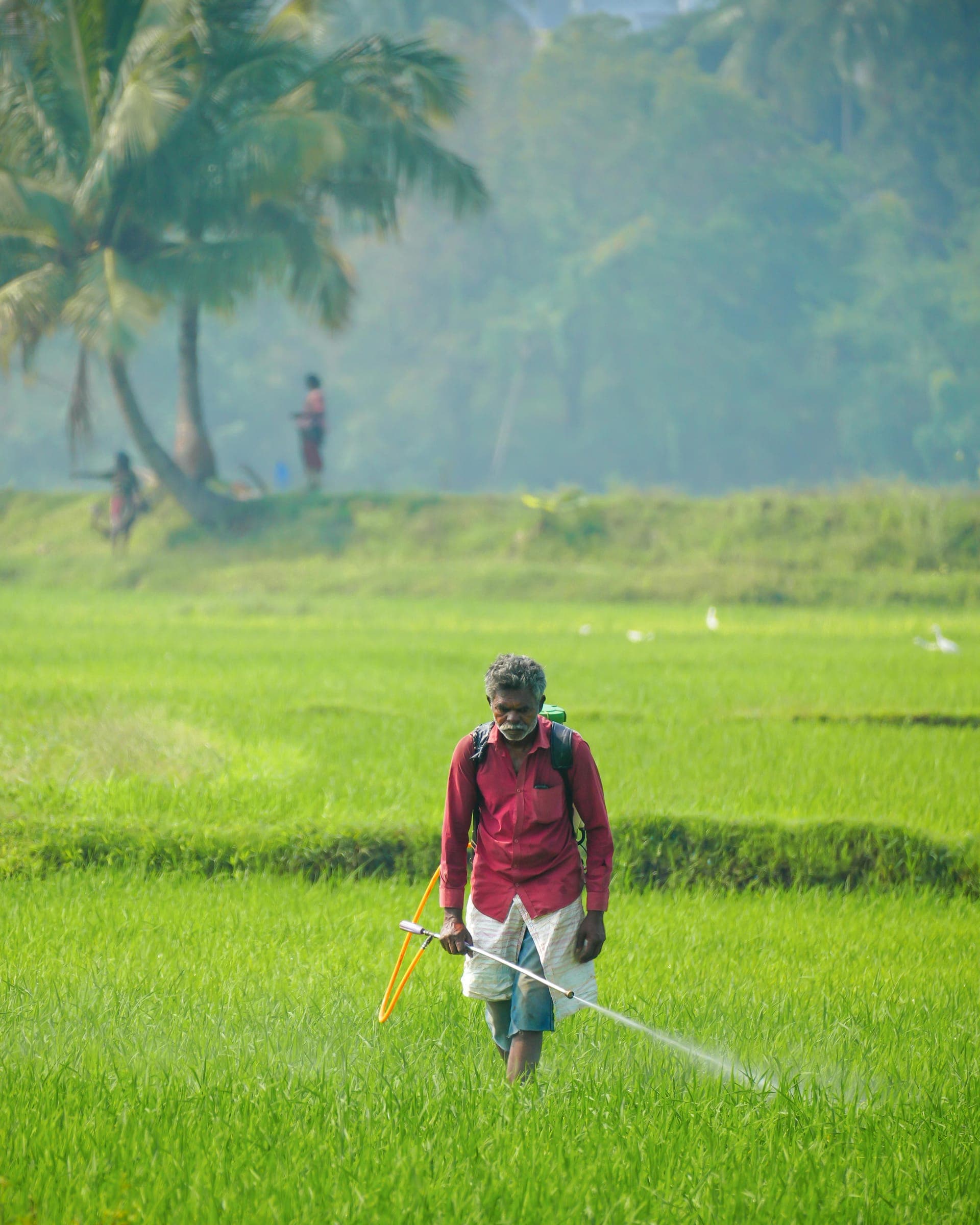 Agrochemical